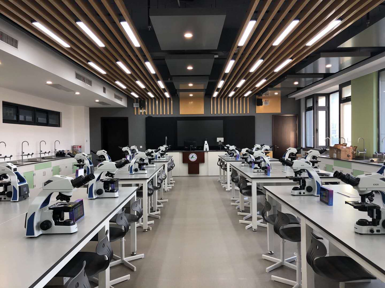形态学教室